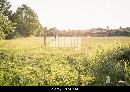 Weitwinkelblick auf drei Kinder, die abends auf dem Feld laufen Stockfoto