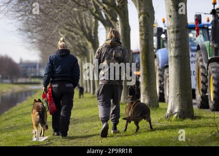 DEN HAAG - Sympathisanten der Bauernaktion gehen an stationären Traktoren vorbei, bevor die Bauern im Zuiderpark demonstrieren und die Rebellion um den Utrechtsebaan ausgestorben ist. ANP SEM VAN DER WAL netherlands Out - belgien Out Credit: ANP/Alamy Live News Stockfoto