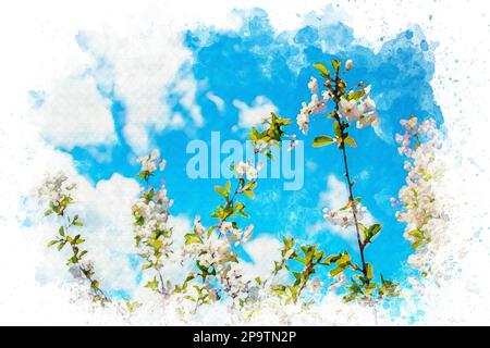 Ein Frühlingsbaum mit weißen Blumen vor einem blauen Himmel. Wasserfarbenes Frühlingskonzept. Stockfoto