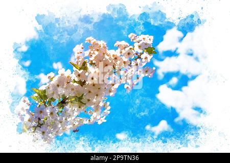 Ein Frühlingsbaum mit weißen Blumen vor einem blauen Himmel. Wasserfarbenes Frühlingskonzept. Stockfoto