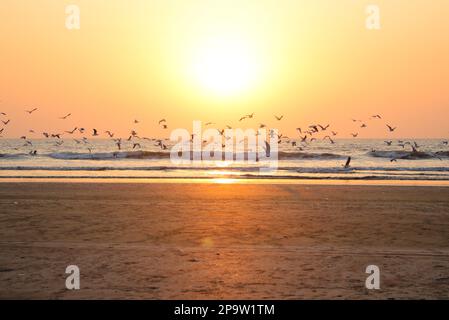 Seascape am Abend. Sonnenuntergang über dem Meer. Eine Schar Seagullen-Vögel, die über den leeren Strand fliegen. Die helle, friedliche Sonne am Horizont des Ozeans. Stockfoto