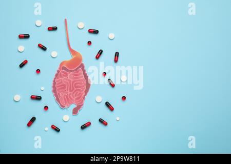 Papierausschnitt des Dünndarms und Pillen auf hellblauem Hintergrund, flach liegend. Platz für Text Stockfoto