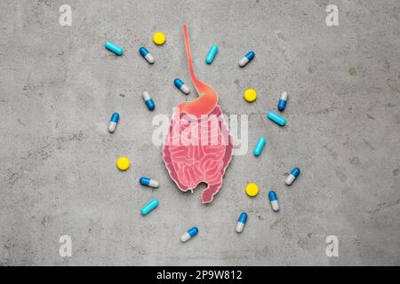 Papierausschnitt von Dünndarm und Pillen auf hellgrauem Hintergrund, flach liegend Stockfoto