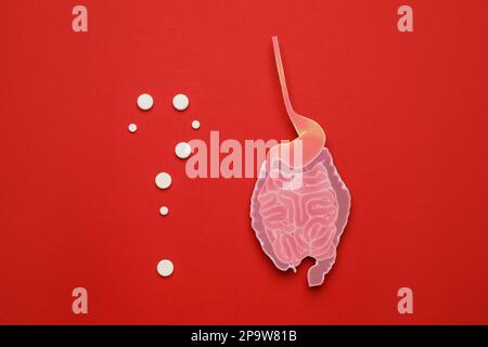 Papierausschnitt des Dünndarms und Fragezeichen mit Pillen auf rotem Hintergrund, flach liegend Stockfoto