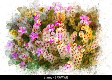 Ein Gemälde einer Pflanze mit pinkfarbenen und gelben Blumen. Für das Wasserfarben-Frühlings-Konzept Stockfoto