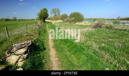 Ein öffentlicher Fußweg entlang eines nicht genutzten Kanals in Gloucestershire. Stockfoto