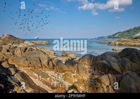 Die felsenübersäte Küste in Kalim Bay (Kalim Beach), am nördlichen Ende von Patong, in Phuket, Thailand Stockfoto