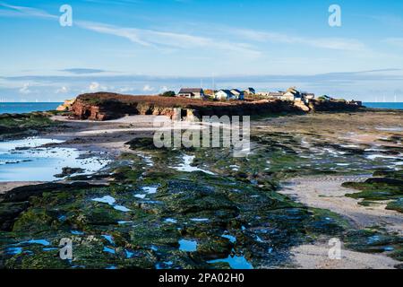 Blick über Felsenpools zur Gezeiteninsel Hilbre Island von Little Hilbre Island in Dee Estuary bei Ebbe. West Kirby Wirral Peninsula Merseyside England Großbritannien Stockfoto