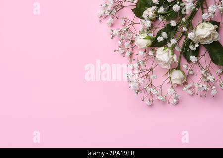 Wunderschöne weiße Zigeuner und Rosen auf rosa Hintergrund, Draufsicht. Platz für Text Stockfoto