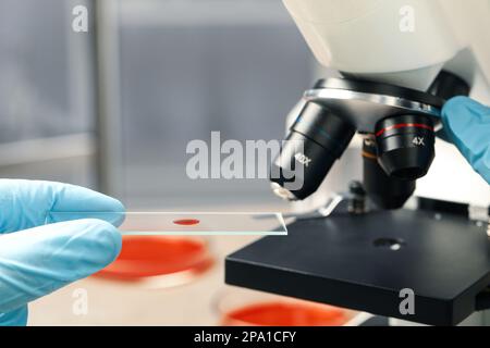 Wissenschaftler untersuchen Probe der roten Flüssigkeit auf Objektträger unter dem Mikroskop im Labor, Nahaufnahme Stockfoto