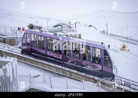 Die Cairngorm Mountain Railway Seilbahn bringt Skifahrer zu den Skipisten im Skigebiet Cairngorm in der Nähe von Aviemore, Schottland, Großbritannien Stockfoto