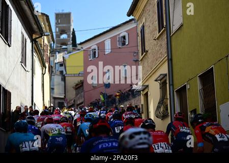 Abbildung zeigt die Gruppe von Radfahrern in Phase 6 des Tirreno-Adriatico-Radrennens, 194 km von Osimo Stazione nach Osimo, in Italien, Samstag, 11. März 2023. BELGA PHOTO DIRK WAEM Credit: Belga News Agency/Alamy Live News Stockfoto