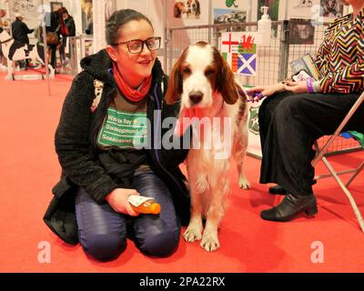 CRUFTS 2023 Birmingham UK Stockfoto