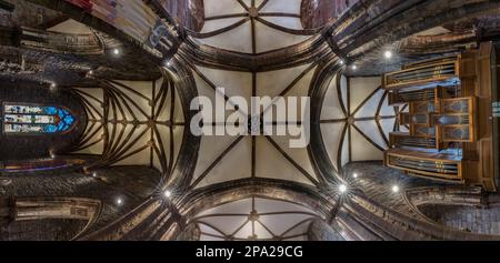 Panoramablick auf die überquerte Decke und Orgel, St. Mary's Parish Church, Haddington, East Lothian, Schottland, Großbritannien Stockfoto
