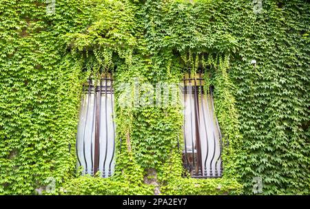 MAILAND, ITALIEN - CA. AUGUST 2020 - Integration von Natur und Immobilien auf diesem alten italienischen Gebäude Stockfoto