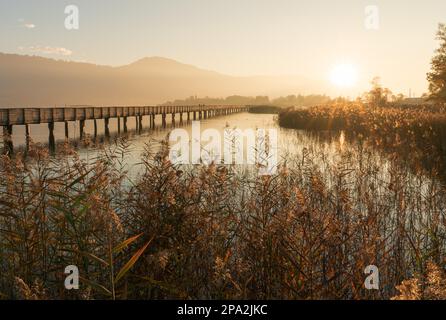 Langer hölzerner Pier und Promenade über dem Zürichsee in der Nähe von rapperswill in goldenem Abendlicht mit Silhouette von Fußgängern und Menschen, die laufen und Stockfoto