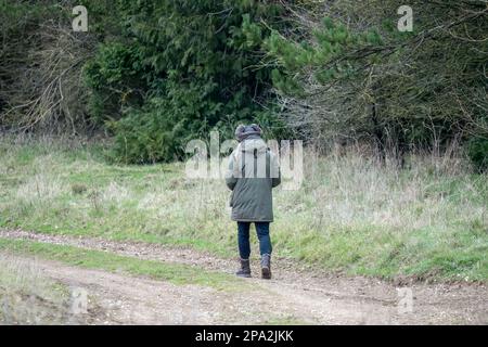 Ein einsamer Wanderer in der Winterlandschaft von Wiltshire, Großbritannien Stockfoto