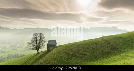 Idyllische und friedliche Berglandschaft mit einer abgeschiedenen Holzscheune und einem einsamen Baum auf einem grasbewachsenen Hügel und einer großartigen Aussicht auf die Alpsteinberge und Stockfoto