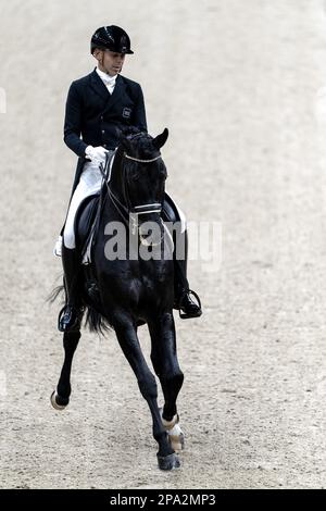 DEN BOSCH - Hans Peter Minderhoud (NED) auf Glocks Dream Boy in Aktion im Dressage kur zur Musik während der Dutch Masters Indoor Brabant Horse Show. ANP SANDER KONING netherlands Out - belgium Out Credit: ANP/Alamy Live News Stockfoto