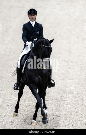 DEN BOSCH - Hans Peter Minderhoud (NED) auf Glocks Dream Boy in Aktion im Dressage kur zur Musik während der Dutch Masters Indoor Brabant Horse Show. ANP SANDER KONING netherlands Out - belgium Out Credit: ANP/Alamy Live News Stockfoto