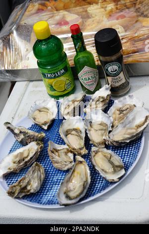 Namibische Austern, Tourboot, Walvis Bay, Republik Namibia Stockfoto