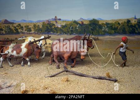 Modell eines Ochsenkarts, Swakopmund Museum, Swakopmund, Republik Namibia Stockfoto