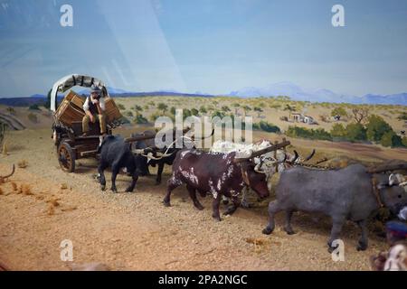 Modell eines Ochsenkarts, Swakopmund Museum, Swakopmund, Republik Namibia Stockfoto