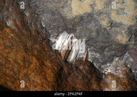 Detail, Hoba-Meteorit, größter Meteorit der Erde, Hoba West Farm, Otavi-Berge, Republi, Hoba, Namibia Stockfoto