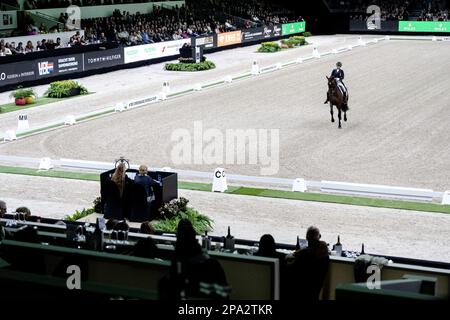 DEN BOSCH - Marlies van Baalen (NED) auf Habibi DVB in Aktion auf dem Dressage kur zur Musik während der Dutch Masters Indoor Brabant Horse Show. AP-SCHLEIFGERÄT KING Stockfoto