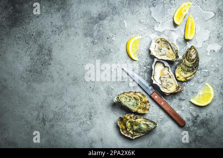 Frische Austern auf Eis, Messer, Zitronensplitter. Rustikaler Steinhintergrund. Offene frische rohe Austern. Draufsicht. Speicherplatz kopieren. Austernbar. Meeresfrüchte. Austern Stockfoto