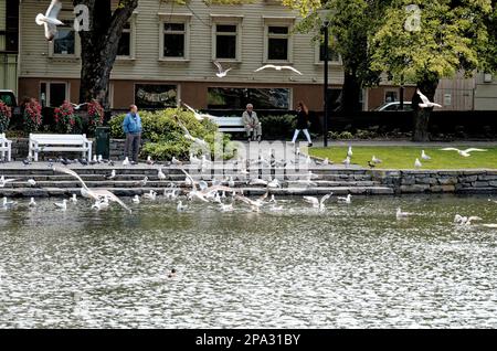 Breiavatnet - zentraler Park und See mit Brunnen in der Gemeinde Stavanger im Rogaland County, Norwegen. 22. vom Juli 2012 Stockfoto