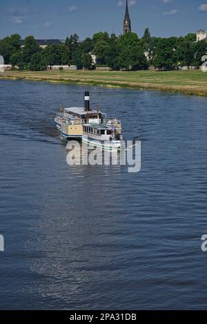 Paddeldampfer auf der elbe bei dresden Stockfoto