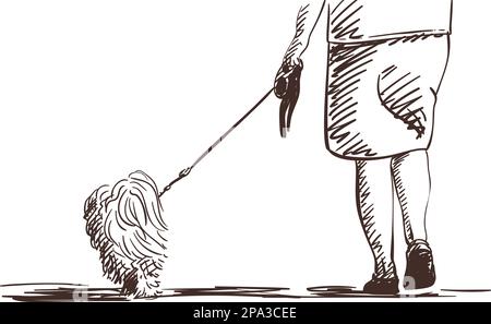 Weibliche Beine und Hund an der Leine, Vektorskizze isoliert auf weiß, handgezeichnete Schraffur Stock Vektor