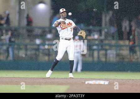 10. März 2023, Sarasota FL, USA; Baltimore Orioles Shortstop Jorge Mateo (3) wirft beim MLB-Frühjahrstraining gegen die Minnesota an erster Stelle Stockfoto