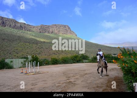 Junge Frau auf einem Pferd im Galopp in Gran Canaria, Spanien Stockfoto