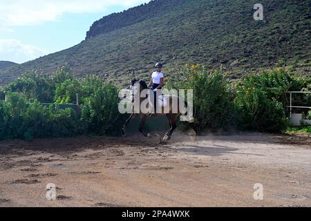 Junge Frau auf einem Pferd im Galopp in Gran Canaria, Spanien Stockfoto