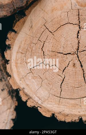 Natürlich geschnittene Holzstämme strukturierter Hintergrund, Draufsicht, flach liegend schön Stockfoto