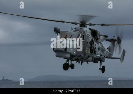 Ein Naval Wildcat Hubschrauber, der von der Royal Navy betrieben wird Stockfoto