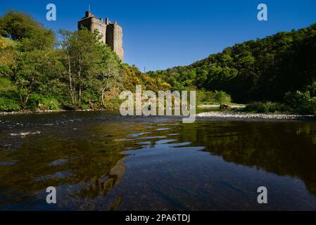 Neidpath Castle oberhalb des Flusses Tweed bei Peebles in der schottischen Grenze Stockfoto