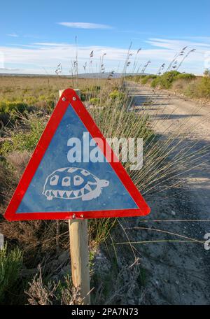 Warnschild für Schildkrötenüberquerung auf einer Straße durch das De Hoop Nature Reserve im Westkap Südafrika Stockfoto