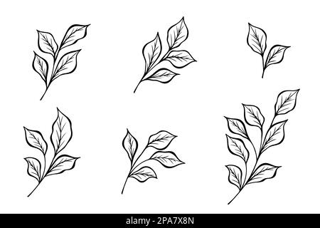 Schwarze Silhouette aus handgezeichneten Baumzweigen mit Blättern, die von Hand gezeichnet werden. Abbildung eines flachen Vektors Stock Vektor