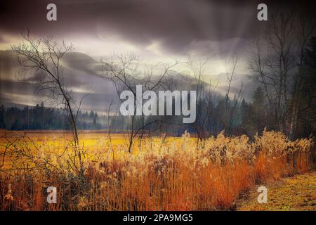 FOTOGRAFIE: Kochel-Loisach Moorlandschaft bei Murnau © Edmund Nagele FRPS Stockfoto