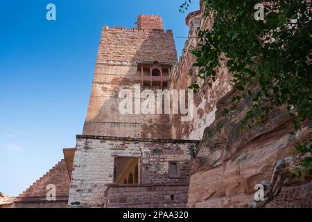 Antiker alter Baum und Jharokha, Steinfenster, das von der Wand eines Gebäudes projiziert wird, obere Etage, mit Blick auf das Fort Mehrangarh, Jodhpur, Rajasthan. Stockfoto