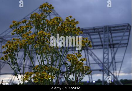 Blumen vor der leeren Pyramid Stage, Worthy Farm, Pilton, Veranstaltungsort des Glastonbury Festivals. Stockfoto