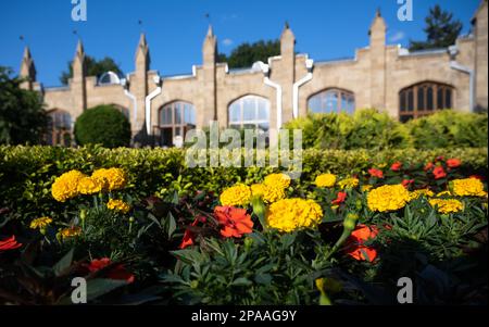 Blumen in der Narzan Galerie im Sommer, Kislowodsk, Stavropol Krai, Russland. Landschaftsgestaltung der Resortstadt, wunderschöner Garten und altes Gebäude mit Mineralwasser Stockfoto