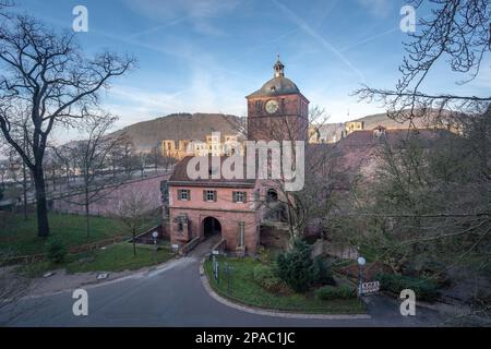 Blick auf Heidelberger Burgeingang und Torturm - Heidelberg, Deutschland Stockfoto
