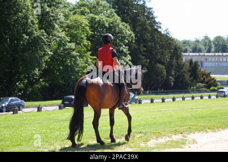 Chantilly, Frankreich - Mai 26 2012: Reiter auf seinem Pferd spaziert auf dem Rasen zwischen dem „Hippodrom“, den „Großen Stallungen“ und dem „Schloss von Chantilly“. Stockfoto