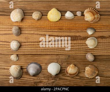 Sea Shell Frame, mehrfarbige Seashells Border, Clam Mollusc Shells Pattern with Copy Space, Natural Sea Shell Frame on Wood Background Top View Stockfoto