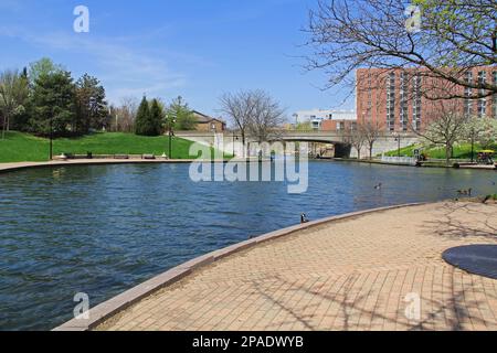 Im Frühling könnt ihr im White River State Park im Zentrum von Indianapolis, Indiana, USA, entlang des Central Canal wandern. Stockfoto