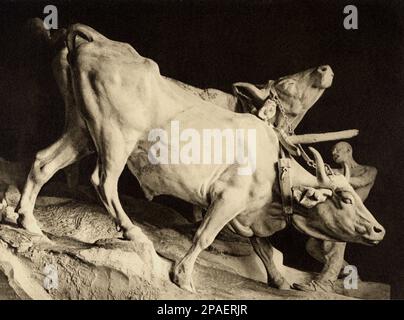 der italienische Bildhauer ENRICO BUTTI ( 1847 - 1932 ) , I BUOI , aus MONUMENTO BESENZANICA ( 1907 - 1912 , Mailand , Cimitero Monumentale ) - KUNST - ARTE - ART NOUVEAU VISUAL ARTS - ARTI VISIVE - ARTI PLASTICHE - SCULTORE - SKULPTUR - DENKMAL - STATUA - STATUE - CIMITERO - FRIEDHOF ---- ARCHIVIO GBB Stockfoto